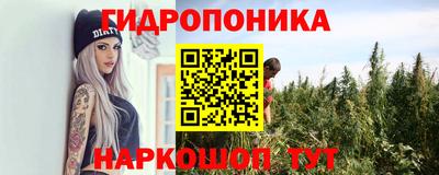 ECSTASY Кингисепп