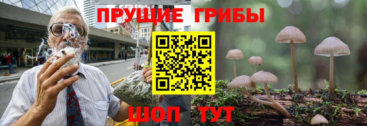 Кашира  Галлюциногенные грибы ЛСД  Вход с VPN  Галлюциногенные грибы мухоморы 