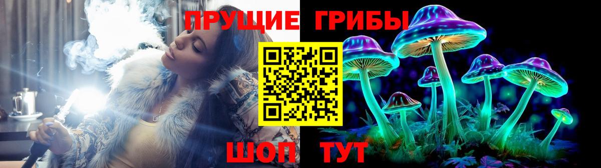 Псилоцибиновые грибы Cubensis Кашира