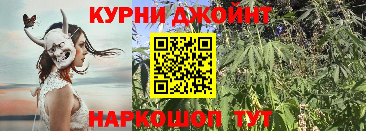 Кашира  Канабис White Widow  Конопля Amnesia  Шишки марихуана сатива  Бошки Шишки план  Вход с VPN 